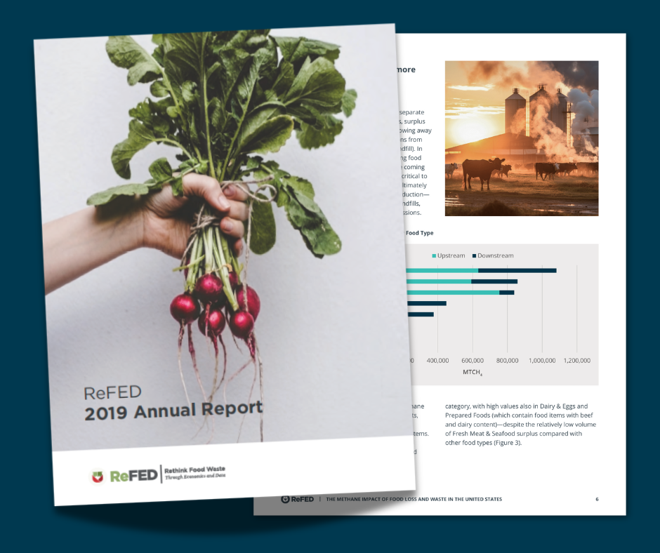 2019 Annual Report image
