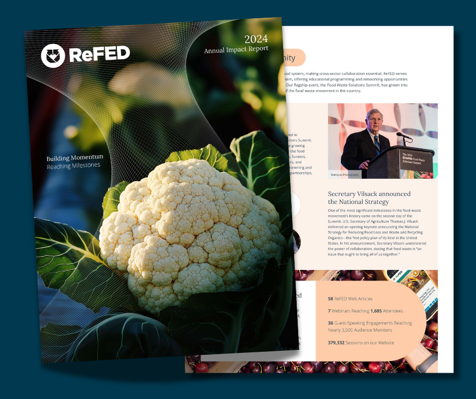 2024 Annual Impact Report image