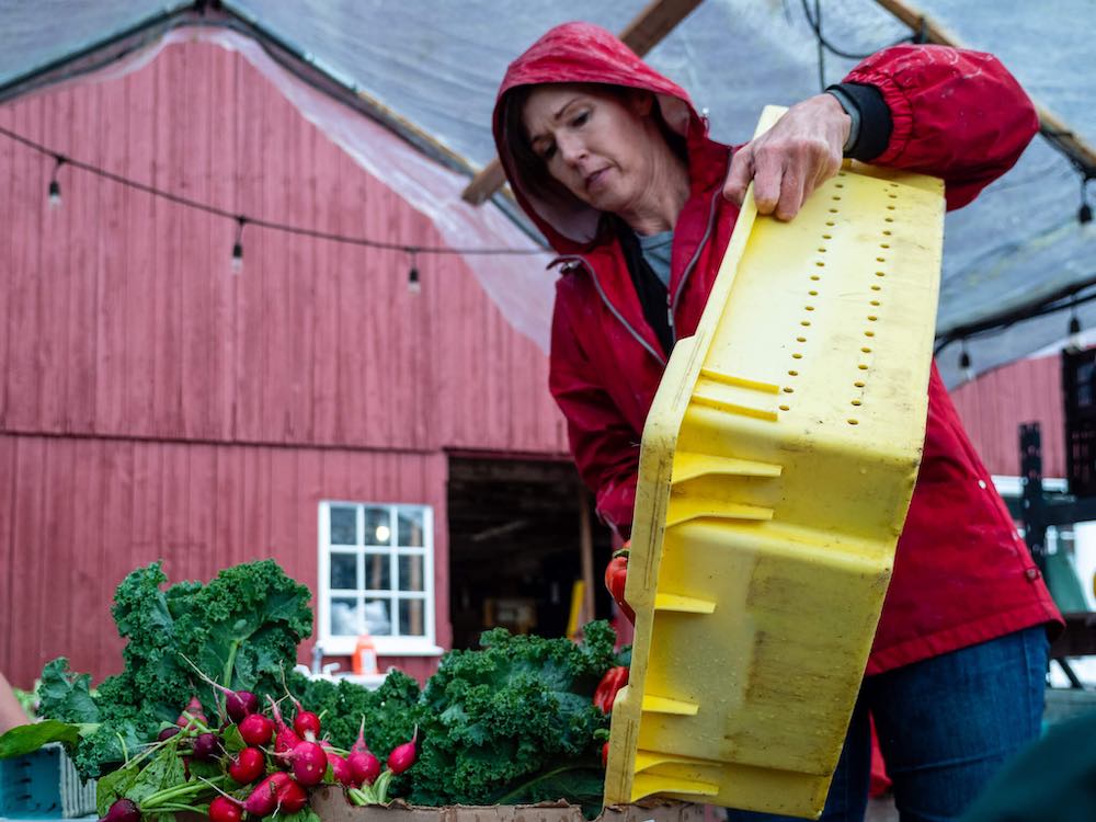 Transforming the Grantmaker-Grantee Relationship