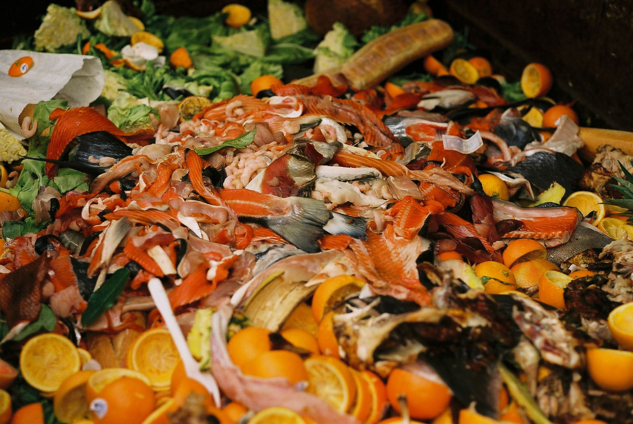 How to Unleash the New Food Waste Economy - ReFED