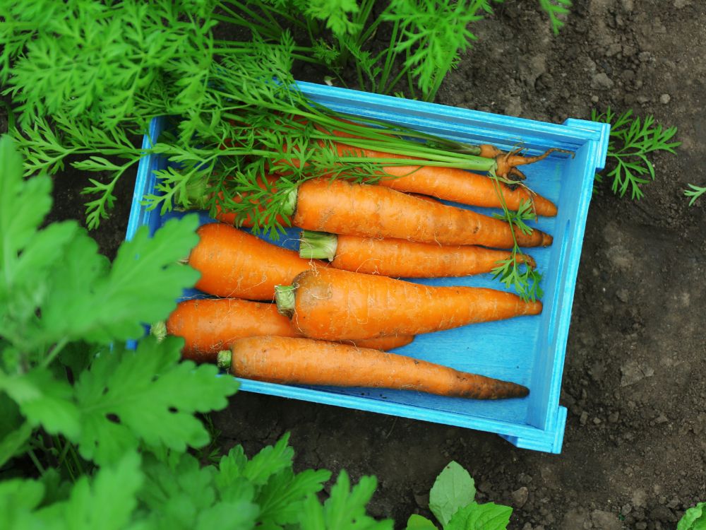 ReFED Quarterly | Winter 2022