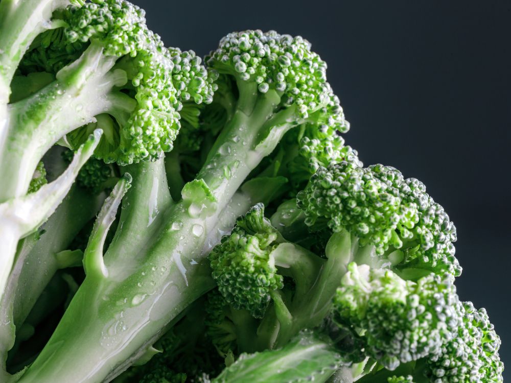 The ReFED Surplus | February 2024