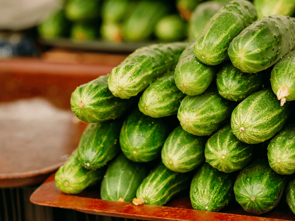 ReFED Mid-Month Update | June 2023