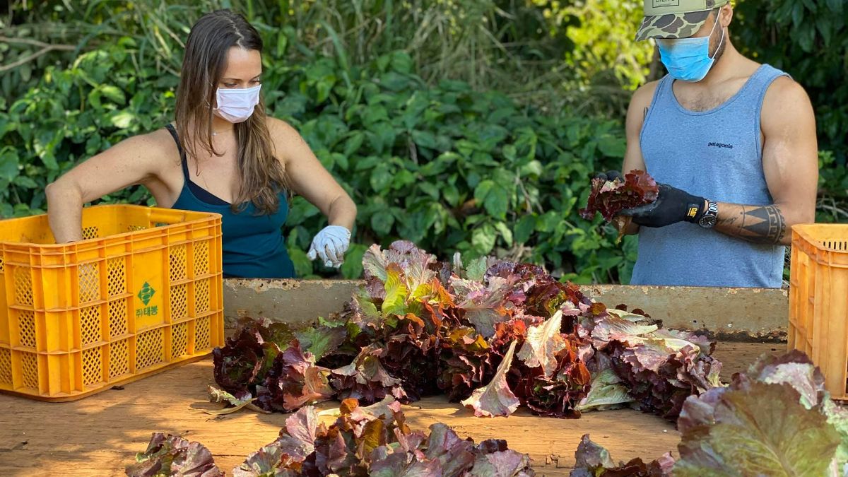 ReFED Quarterly | Summer 2020