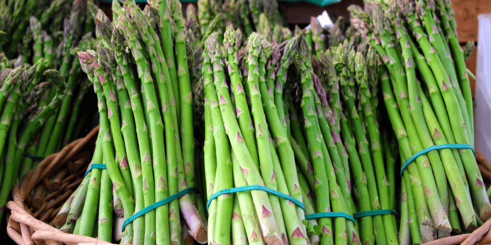 The ReFED Capital & Innovation Market Update | May 2023