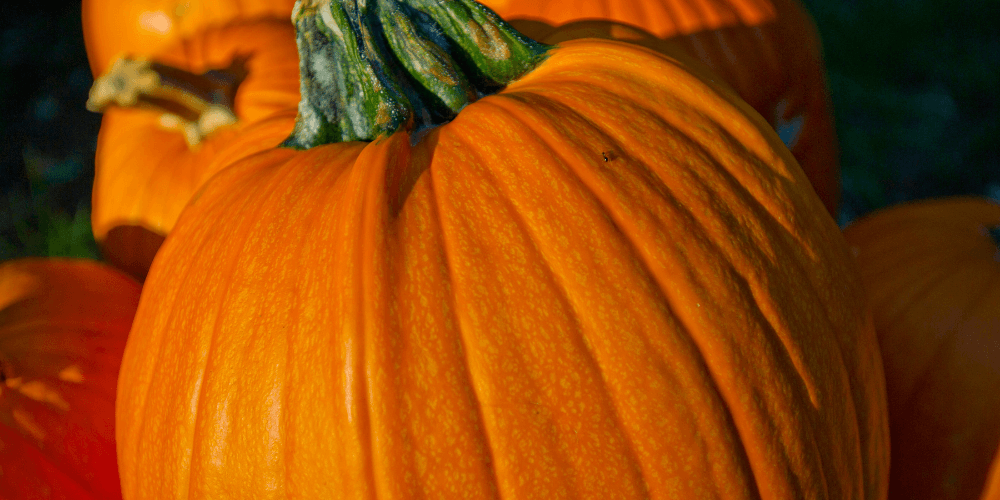 ReFED Capital & Innovation Market Update | Oct 2022