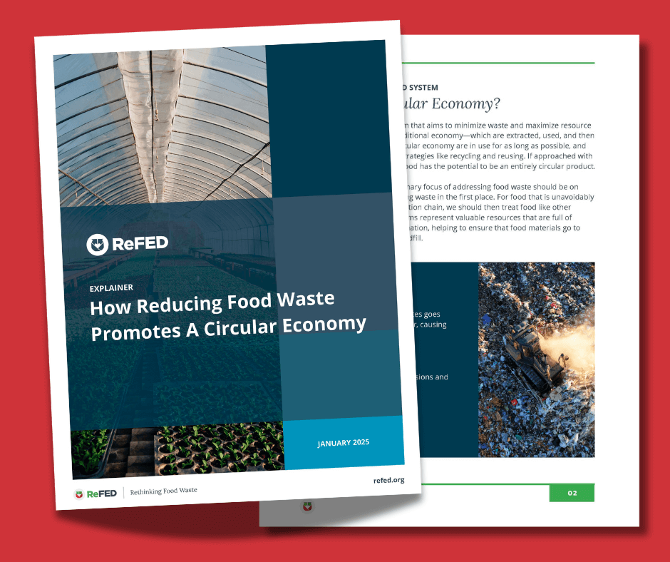 How Reducing Food Waste Promotes A Circular Economy image