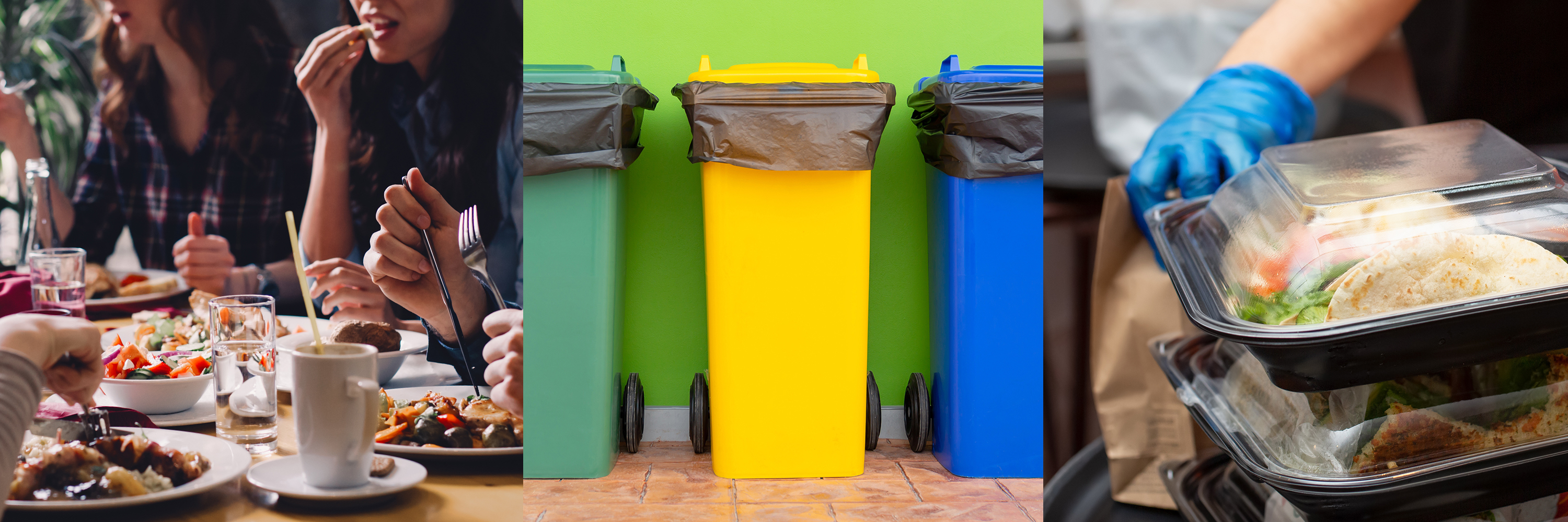 GUEST BLOG: Contaminated Food Scraps Bins? Ask These Three Questions to Find Out Why