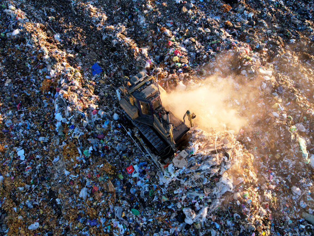 Why Fund Solutions to Food Waste