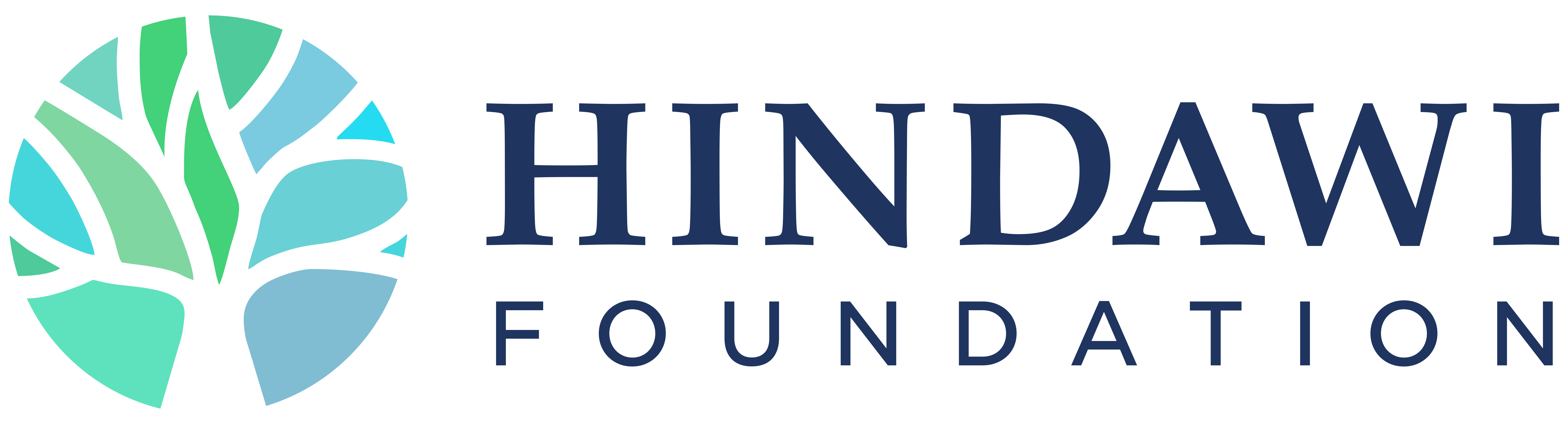 The Hindawi Foundation