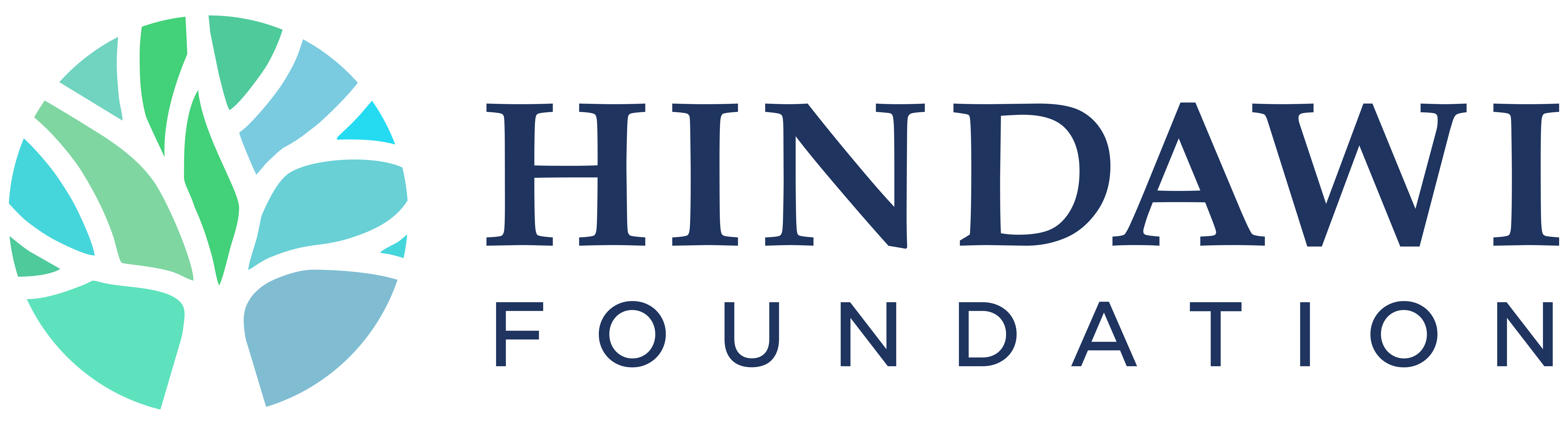 The Hindawi Foundation