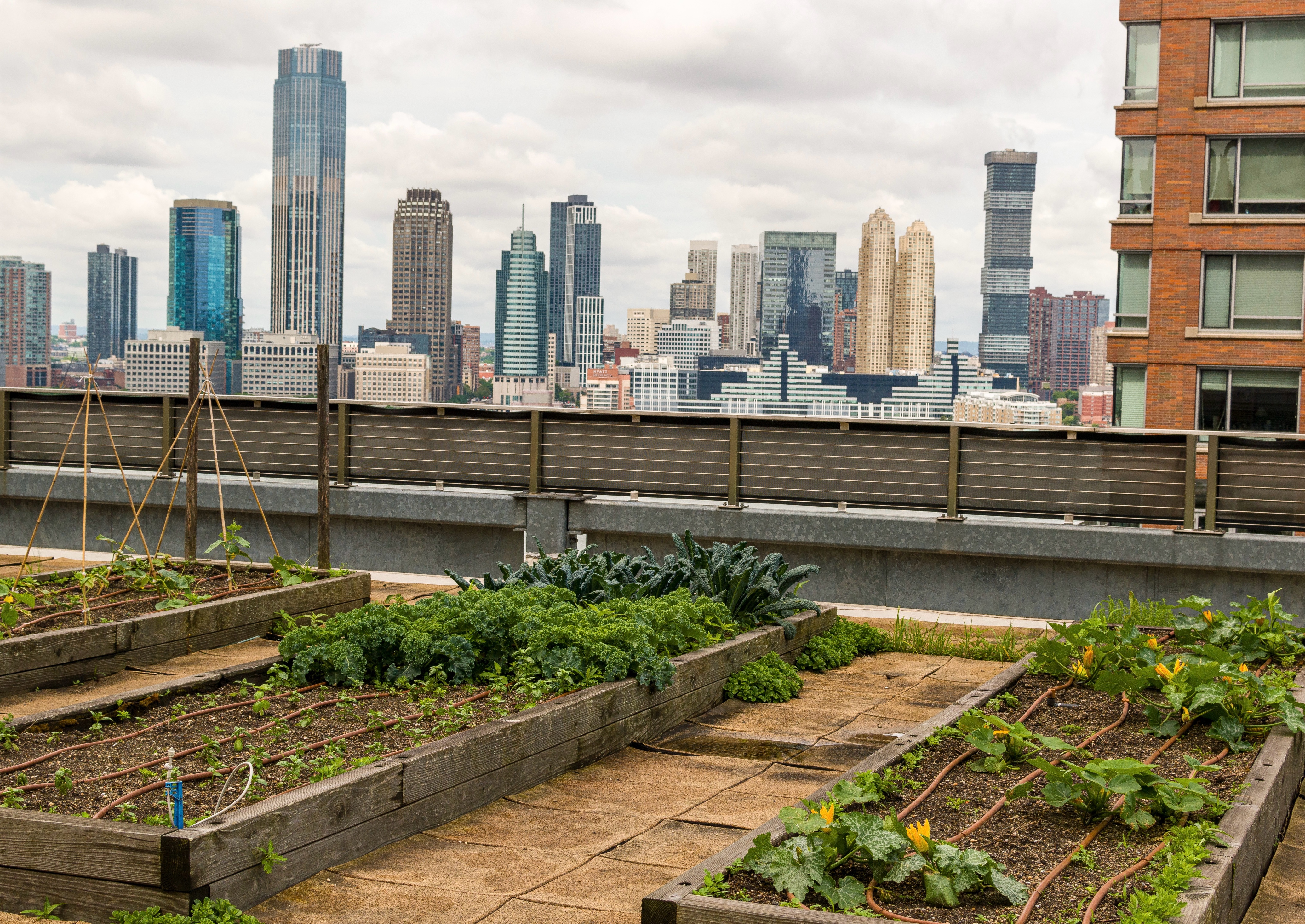 Hilton Joins U.S. Food Waste Pact As First Hospitality Signatory