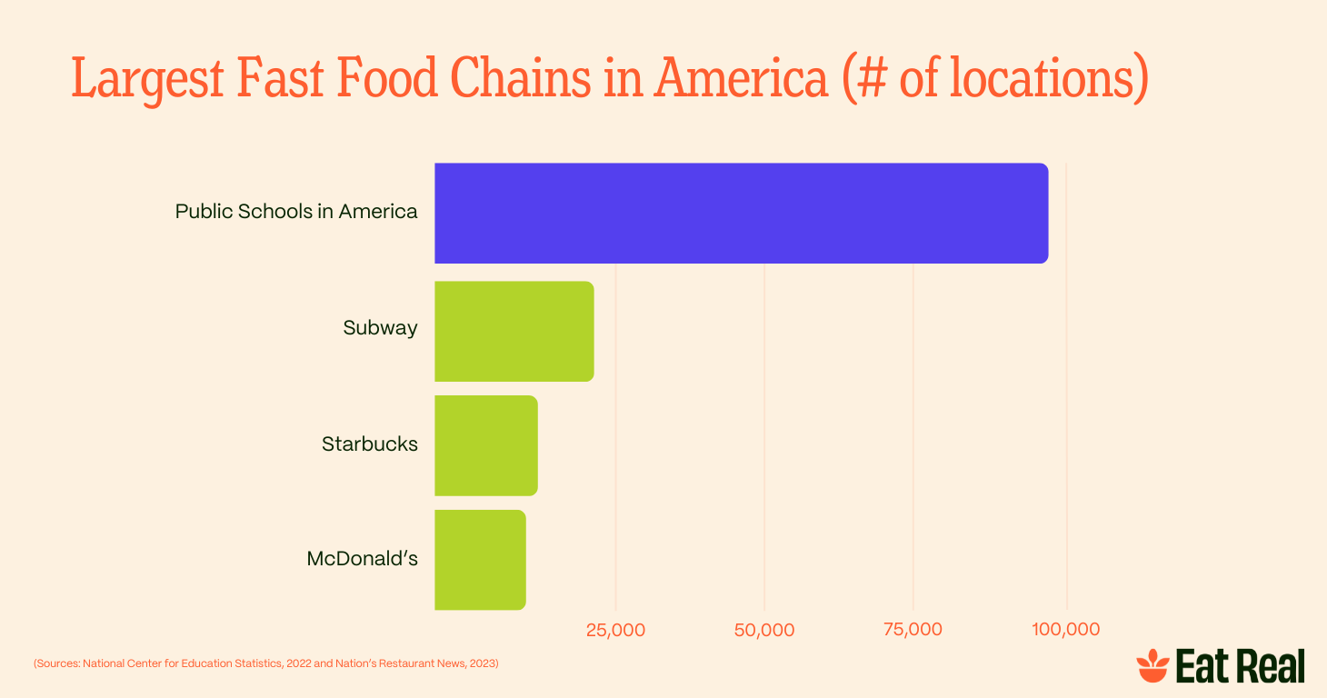 Food chain Chart