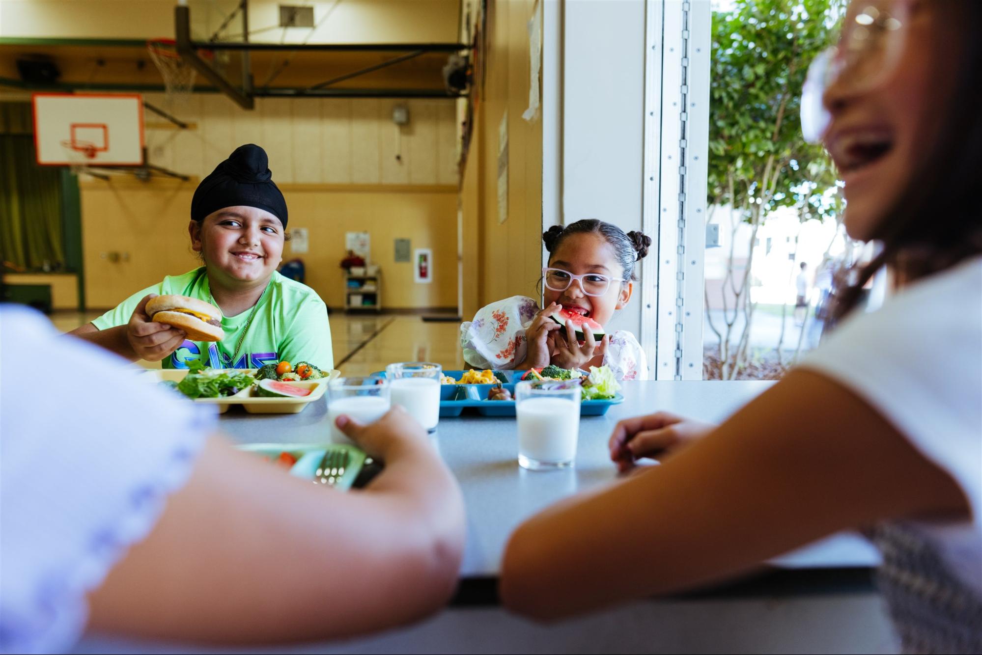 Food Waste Solutions