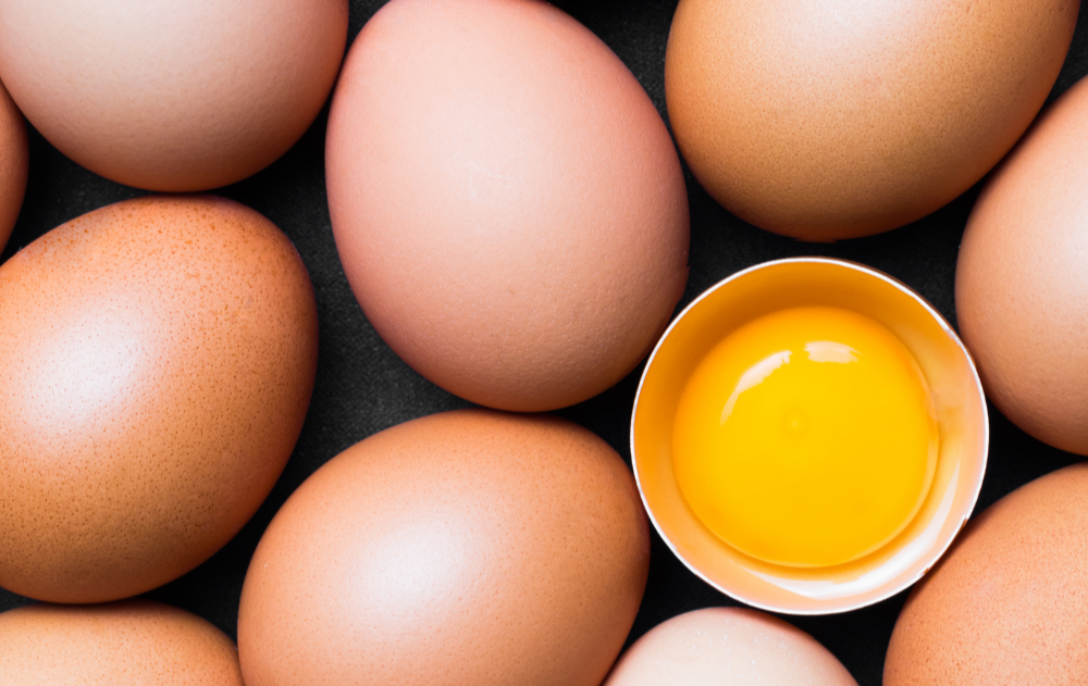 ReFED Mid-Month Update | January 2023