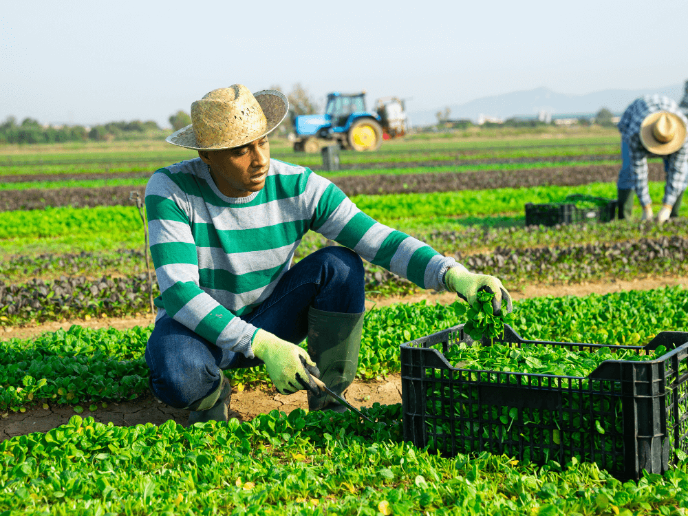 The ReFED Surplus | March 2023