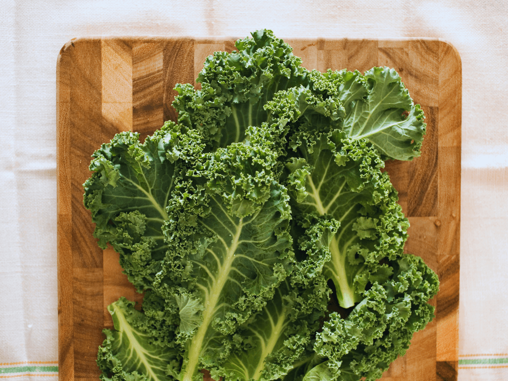 ReFED Mid-Month Update | February 2024