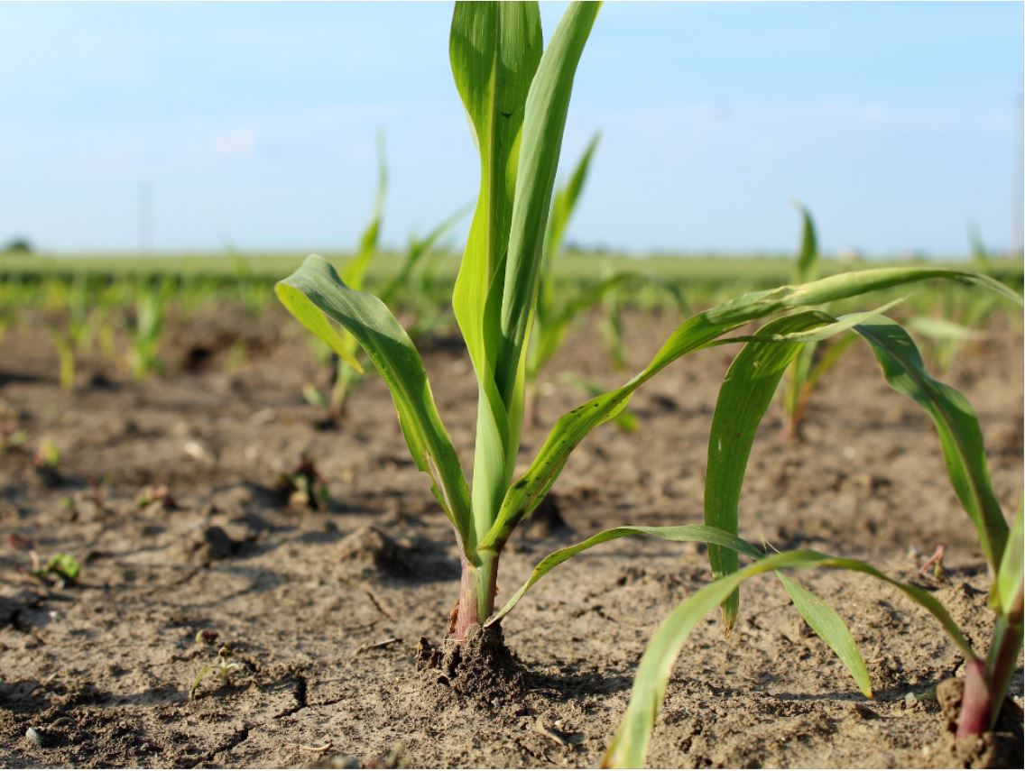 ReFED Quarterly | Spring 2021