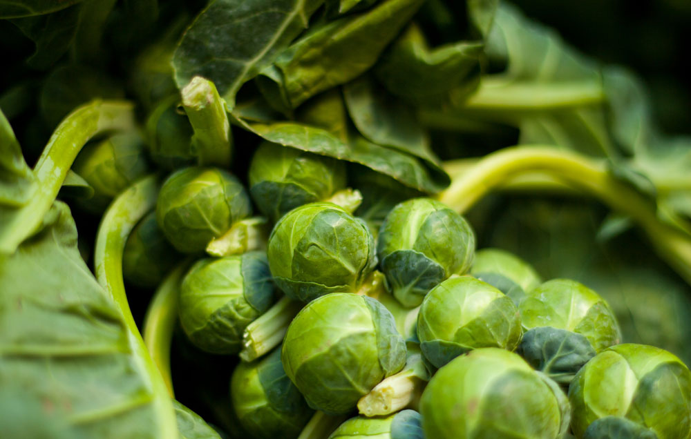 What's Happening at ReFED | February 2022