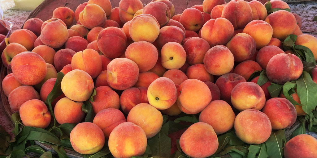 ReFED Quarterly | Summer 2021