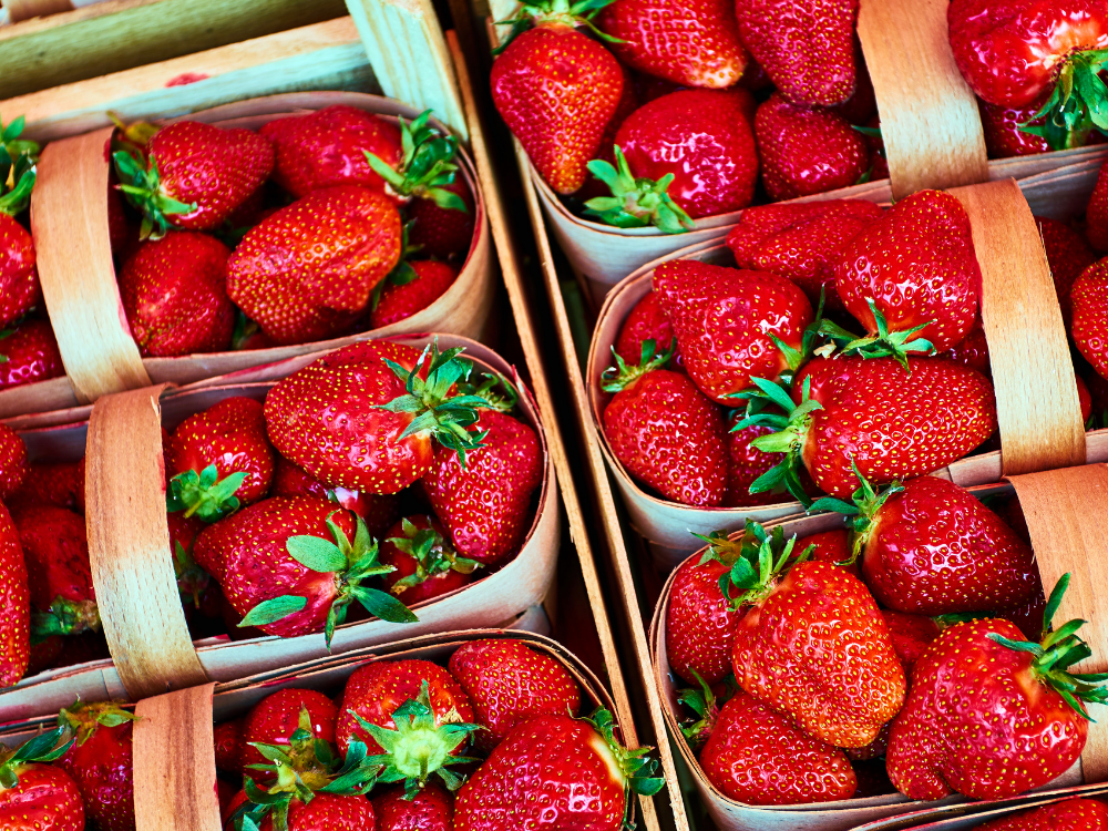 What's Happening at ReFED | April 2022