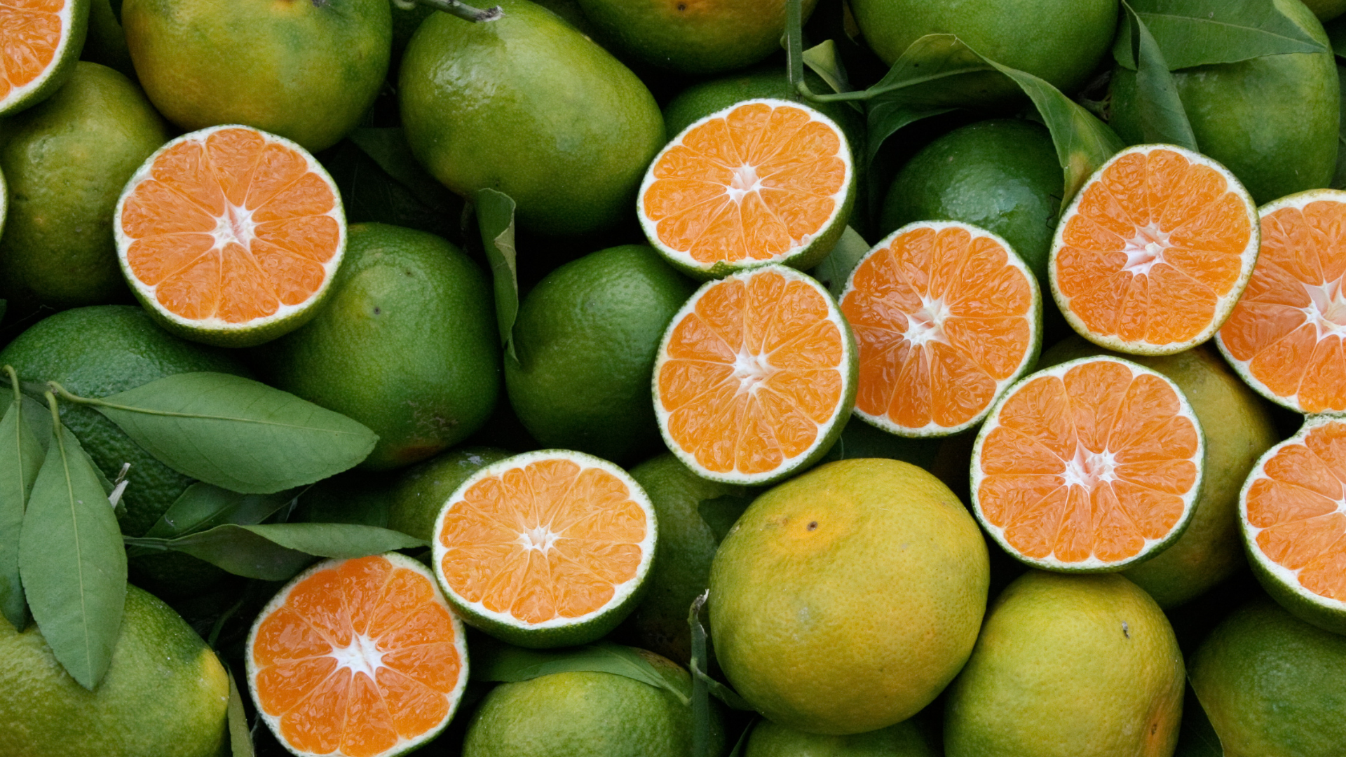 What's Happening at ReFED | June 2022