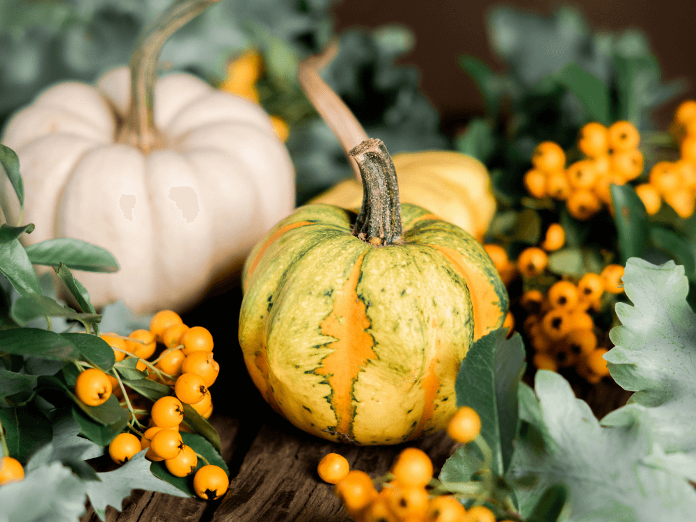 The ReFED Surplus | November 2023