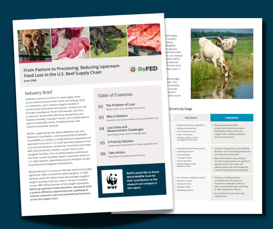 From Pasture to Processing: Reducing Upstream Food Loss in the U.S. Beef Supply Chain image