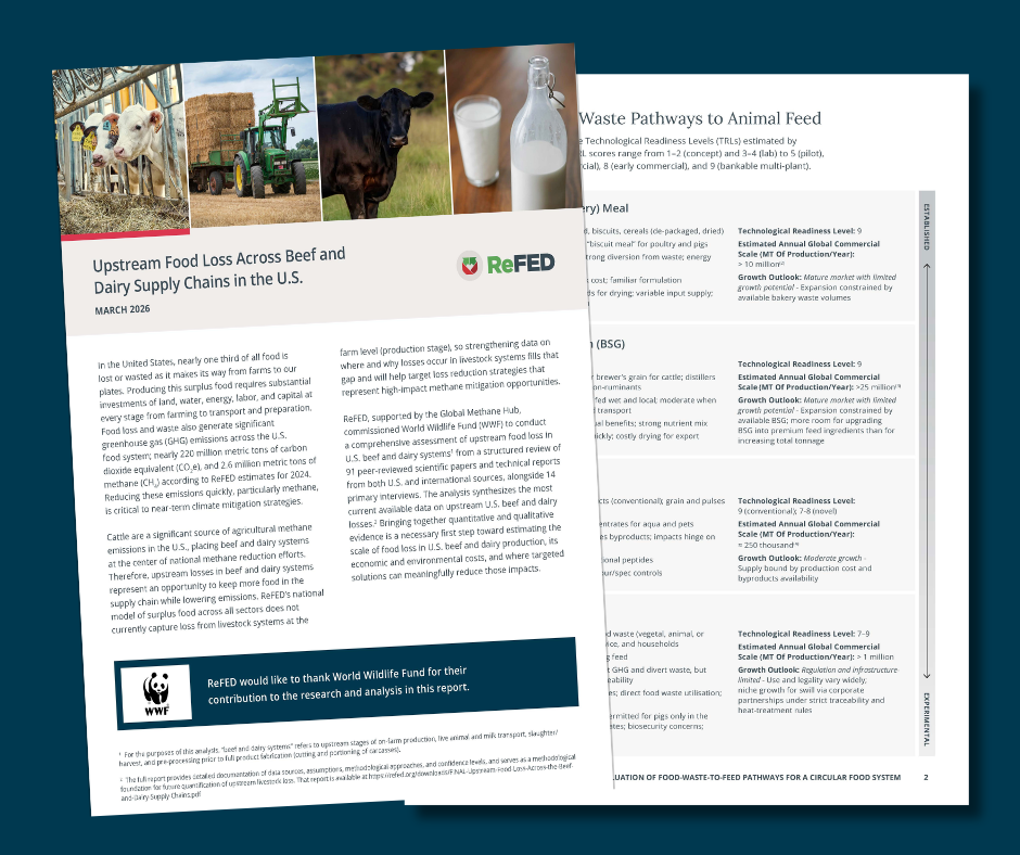 Executive Summary: Upstream Food Loss Across Beef and Dairy Supply Chains in the U.S. image