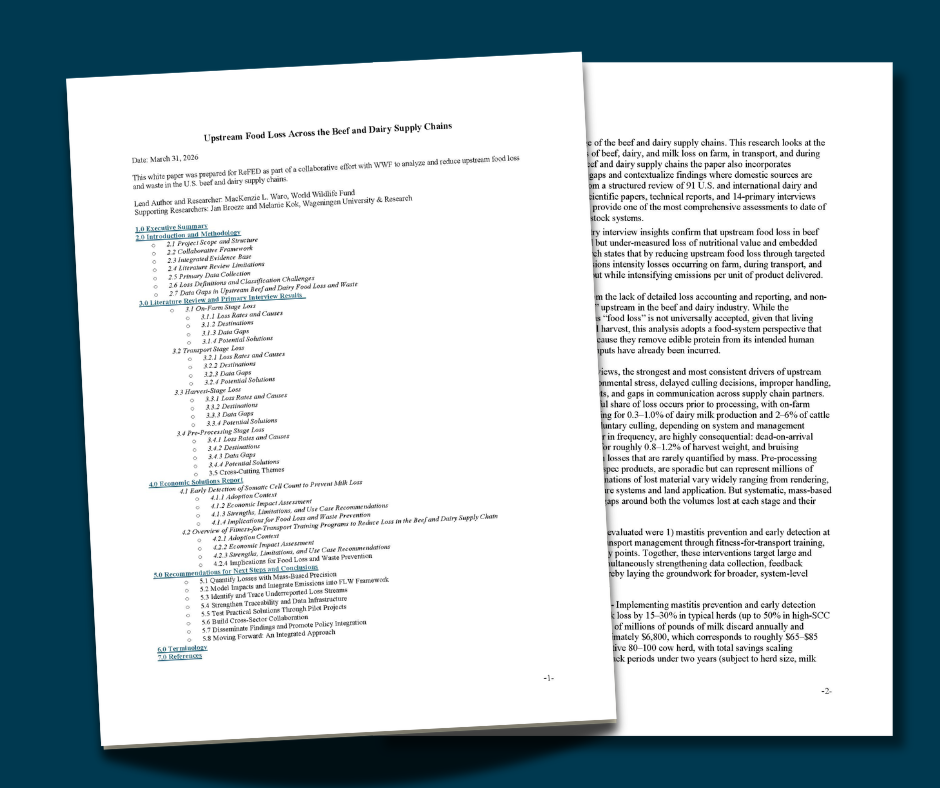 Upstream Food Loss Across the Beef and Dairy Supply Chains  image