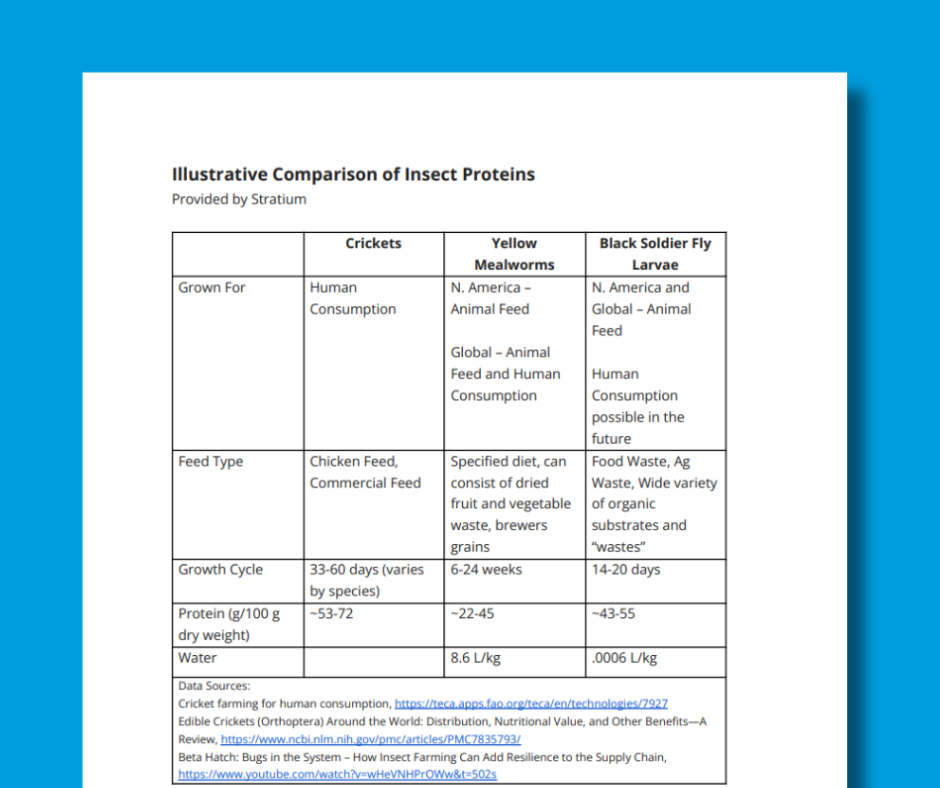 Stratium Insect Protein Table image