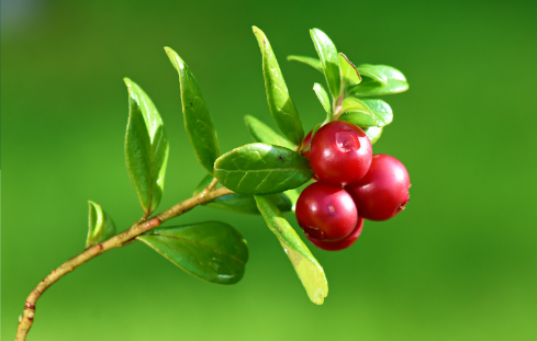 What's Happening at ReFED | Nov 2022